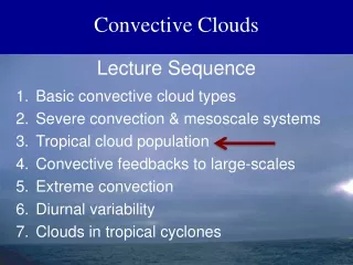 Convective Clouds