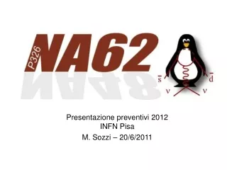 Presentazione preventivi 2012 INFN Pisa M. Sozzi – 20/6/2011