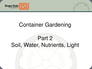 Container Gardening Part 2 Soil, Water, Nutrients, Light