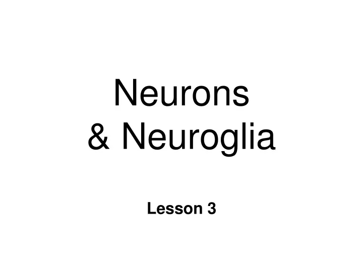 neurons neuroglia