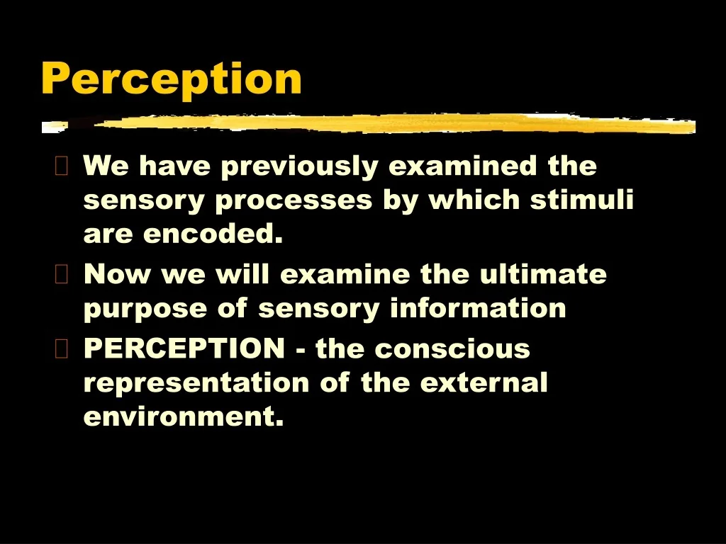 PPT - Perception PowerPoint Presentation, free download - ID:9718737