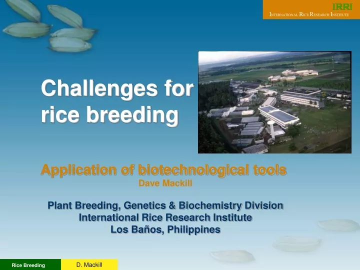 challenges for rice breeding application