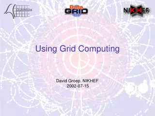 Using Grid Computing