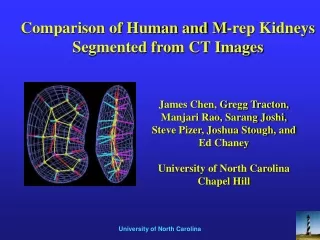 Comparison of Human and M-rep Kidneys Segmented from CT Images