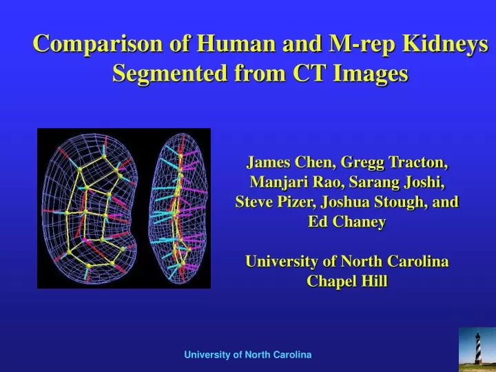 comparison of human and m rep kidneys segmented from ct images