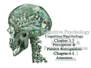 Cognitive Psychology Chapter 3.5 Perception &amp; Pattern Recognition Chapter 4.1 Attention