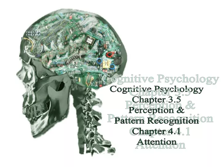cognitive psychology chapter 3 5 perception