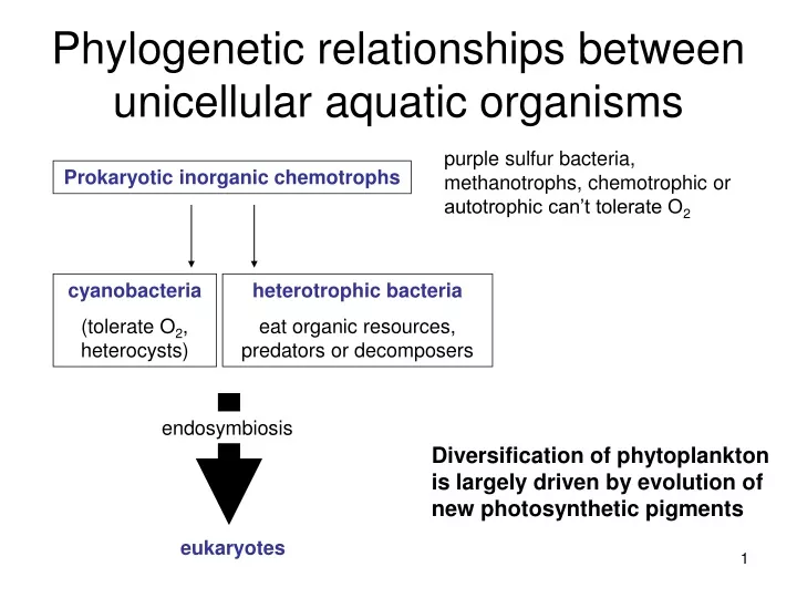 phylogenetic relationships between unicellular aquatic organisms