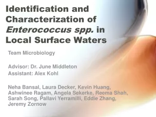 Identification and Characterization of  Enterococcus spp.  in  Local Surface Waters