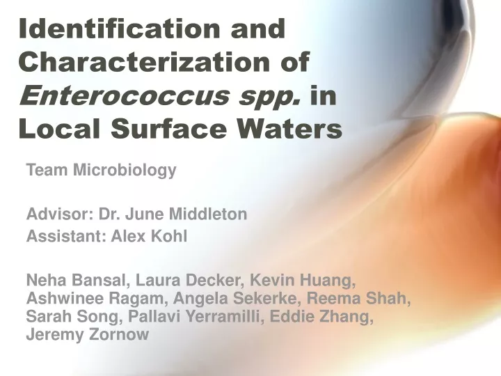 identification and characterization of enterococcus spp in local surface waters
