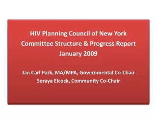 HIV Planning Council of New York Committee Structure &amp; Progress Report January 2009