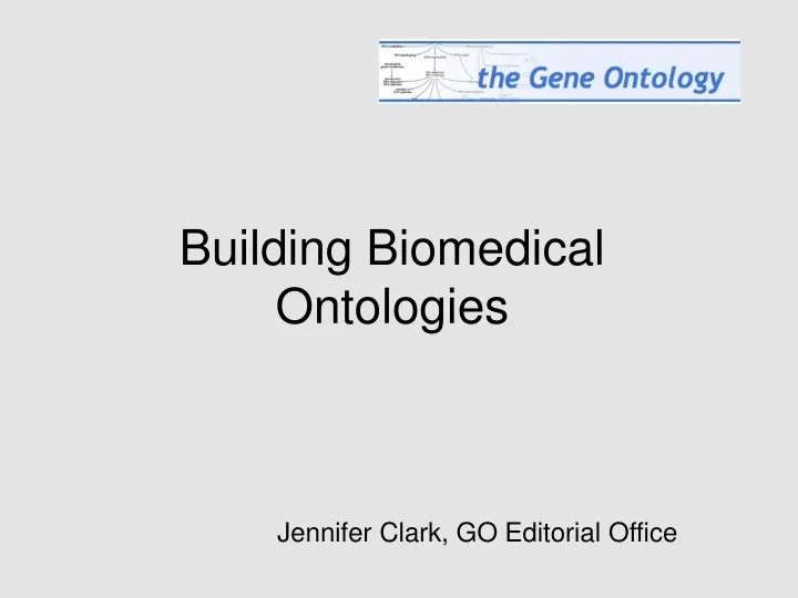 building biomedical ontologies