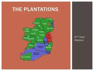 The Plantations