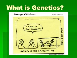 What is Genetics?