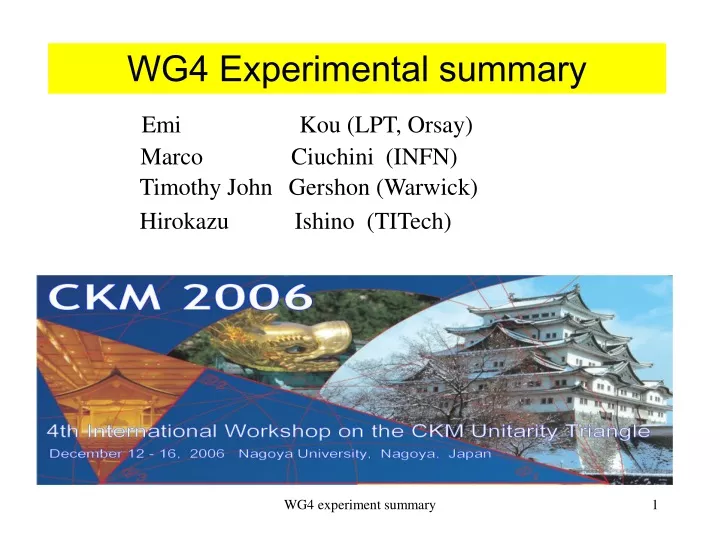 wg4 experimental summary