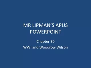 MR LIPMAN’S APUS POWERPOINT