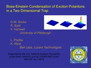 Bose-Einstein Condensation of Exciton-Polaritons in a Two-Dimensional Trap