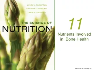 Nutrients Involved in  Bone Health