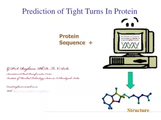 Prediction of Tight Turns In Protein