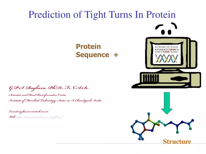 prediction of tight turns in protein