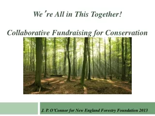 J. P. O ’ Connor for New England Forestry Foundation 2013