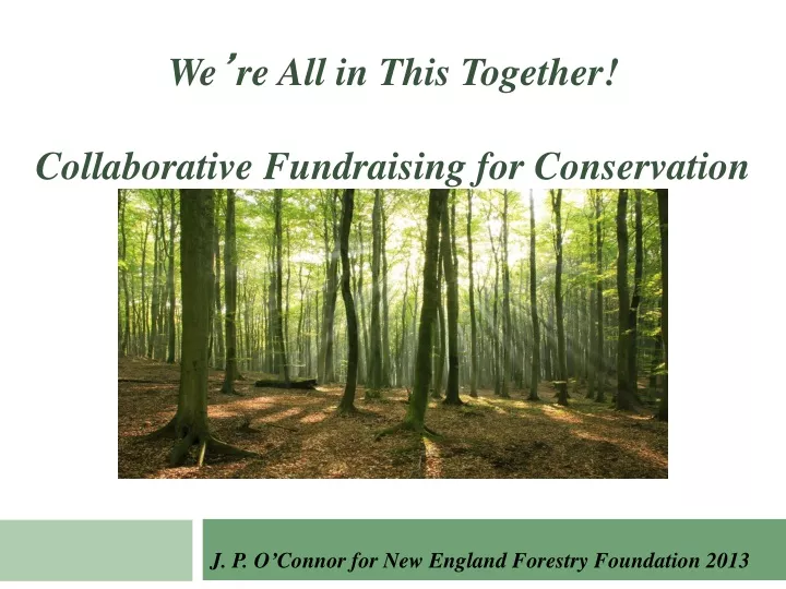 j p o connor for new england forestry foundation 2013
