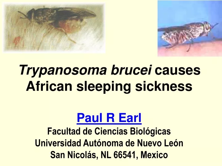 trypanosoma brucei causes african sleeping
