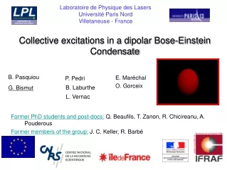 Collective excitations in a dipolar Bose-Einstein Condensate