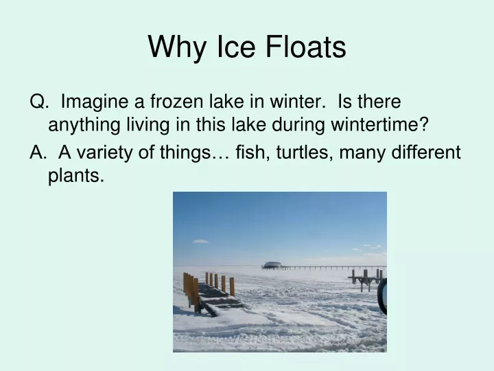 why ice floats
