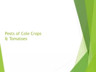 Pests of Cole Crops &amp; Tomatoes