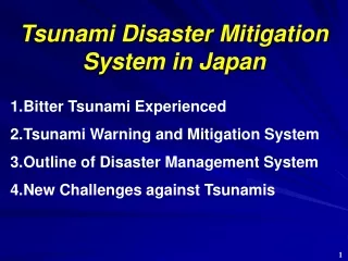 Tsunami Disaster Mitigation  System in Japan