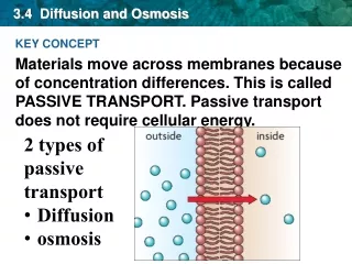 3.4  Diffusion and Osmosis