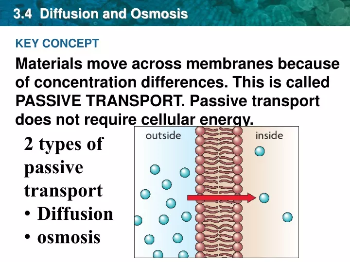 3 4 diffusion and osmosis