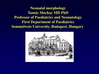 Neonatal morphology Tamás Machay MD PhD Professor of Paediatrics and Neonatology
