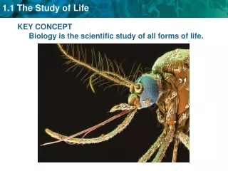 KEY CONCEPT  Biology is the scientific study of all forms of life.