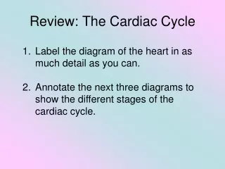 Review: The Cardiac Cycle
