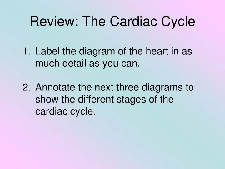 review the cardiac cycle