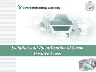 Isolation and Identification of Gram Positive Cocci