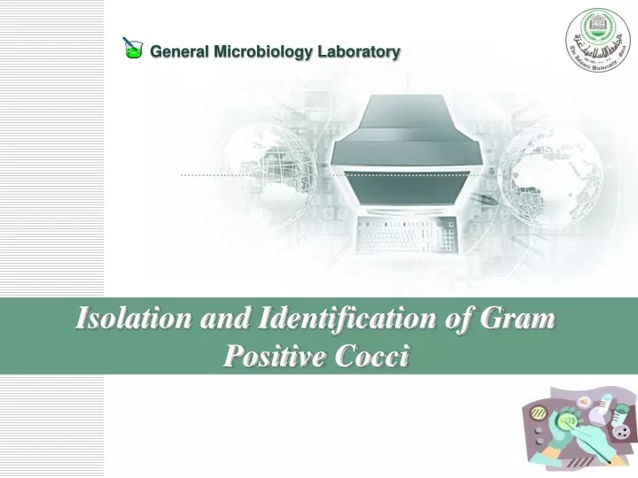 isolation and identification of gram positive cocci