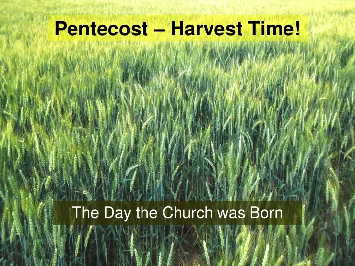pentecost harvest time
