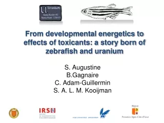 From developmental energetics to effects of toxicants: a story born of zebrafish and uranium
