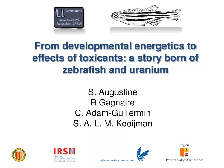 from developmental energetics to effects of toxicants a story born of zebrafish and uranium