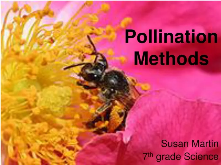 pollination methods