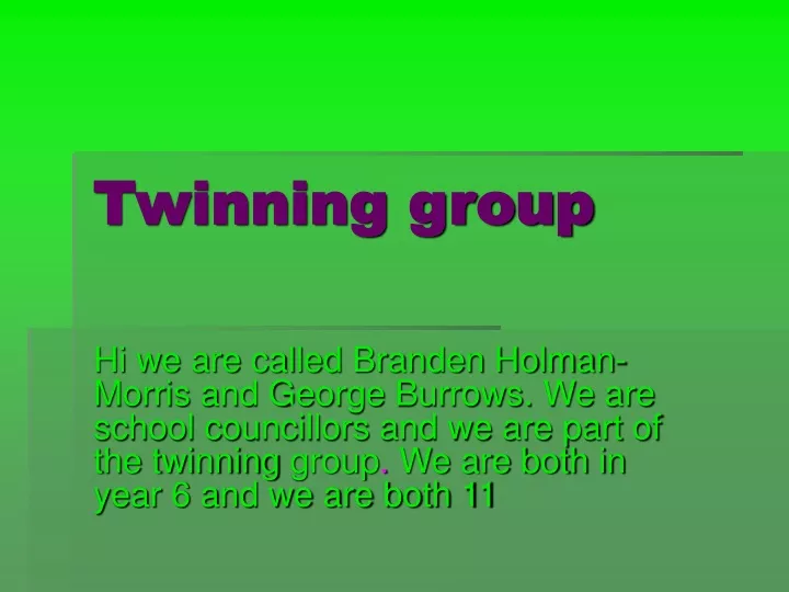 twinning group