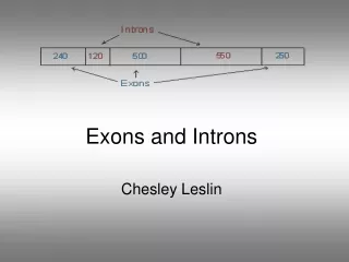 Exons and Introns