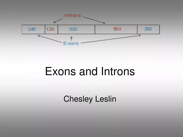 exons and introns