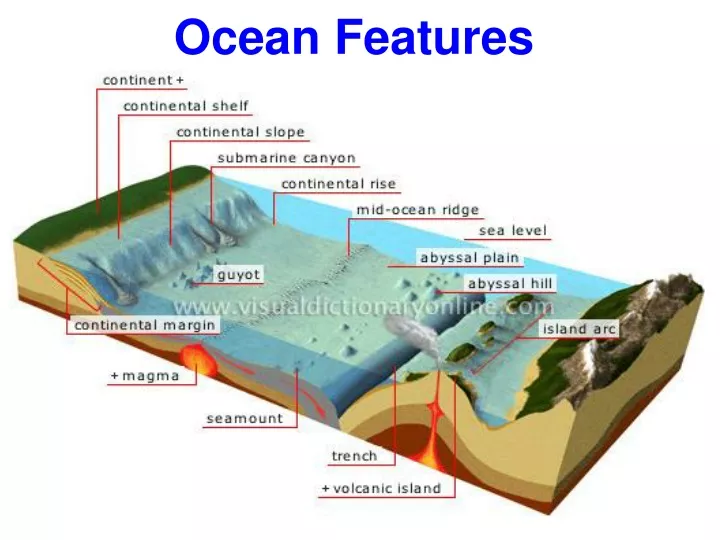 ocean features