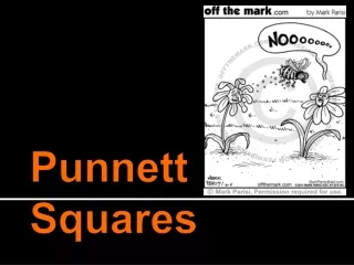 Punnett Squares