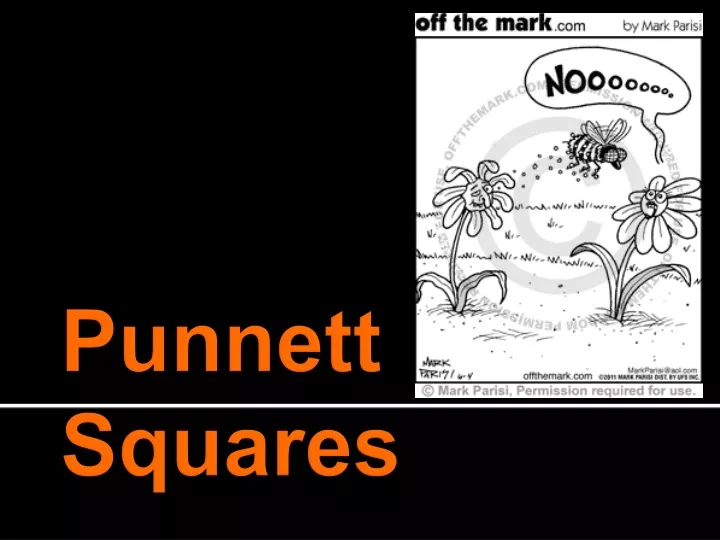 punnett squares