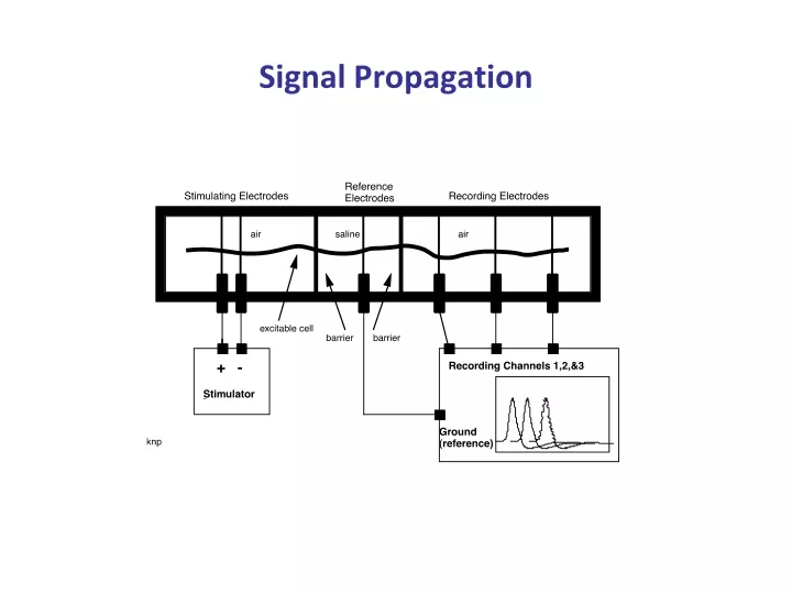 signal propagation